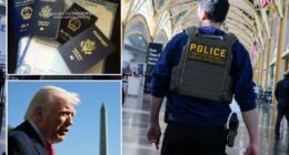 ICE launches new effort to crack down on US âbirth tourism schemesâ